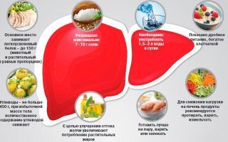 Продукты для поджелудочной железы и печени - Всё о печени