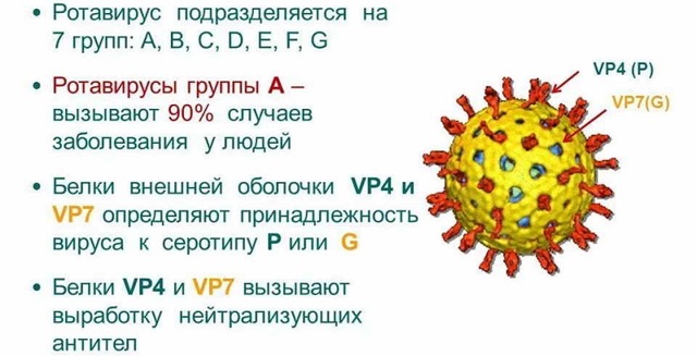 Ротавирус сколько дней заразен после выздоровления