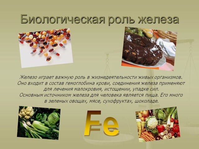 Продукты богатые железом при анемии