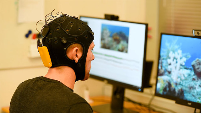 ЭЭГ головного мозга - что показывает исследование, показания к проведению