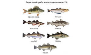 Какую рыбу можно при панкреатите: рекомендации врачей