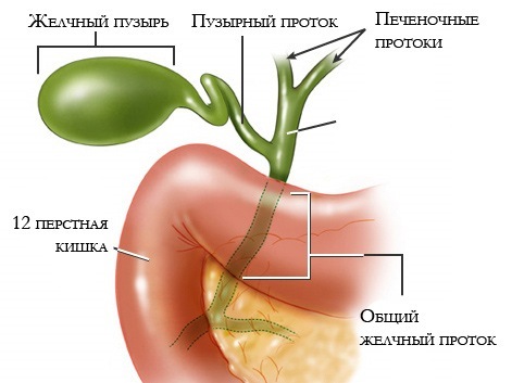 Холецистит панкреатит хронический - лечение панкреатита и холецистита лекарствами совместное заболевание чем и как лечить дома диета