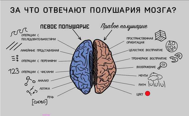 Что показывает МРТ головного мозга