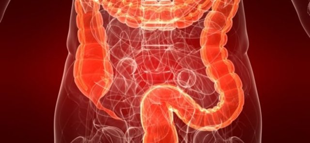 Основные принципы питания при заболеваниях желудка и кишечника, меню диеты при болезнях ЖКТ