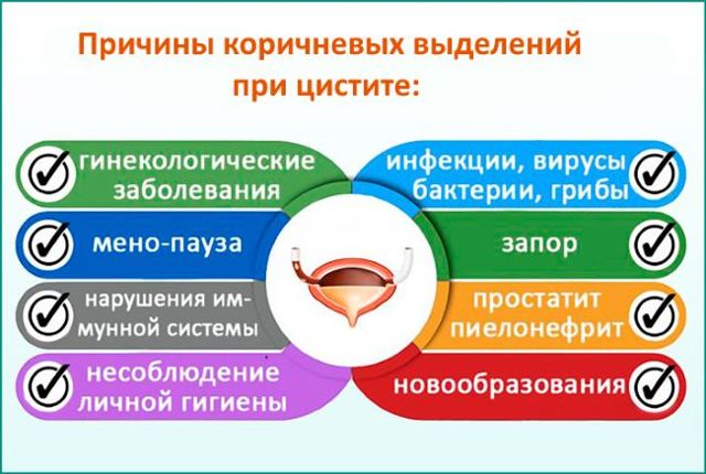 Выделения при цистите у женщин