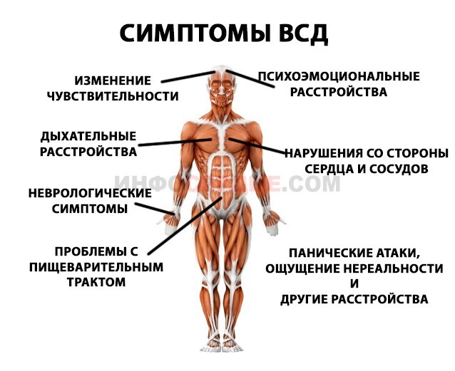 Почему учащается сердцебиение после еды