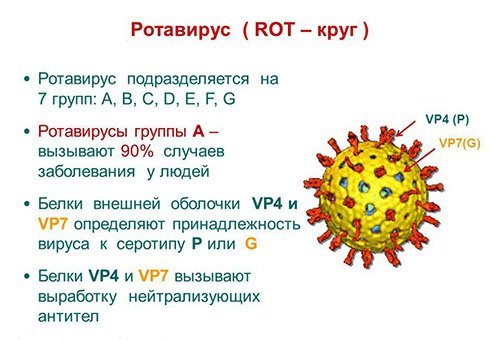 Ротавирусная инфекция: сколько дней человек заразен