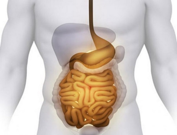 Нарушение всасывания в кишечнике: причины, симптомы и лечение