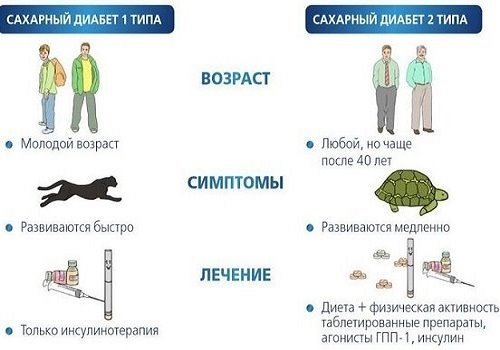 Как восстановить поджелудочную железу: таблетки для поджелудочной железы