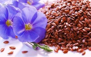 Семена льна: как принимать для очистки организма, кишечника и желудка