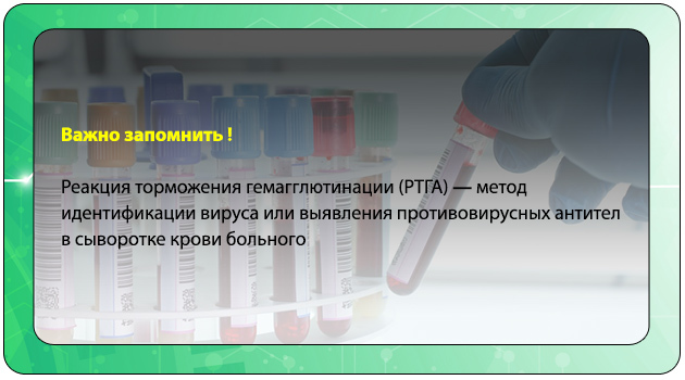 Как передается ротавирусная инфекция: основные способы и лечение