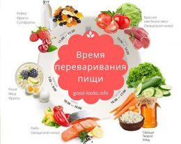 Сколько времени усваивается пища в организме