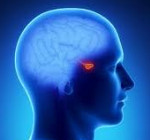 Аденома гипофиза: основные причины появления опухоли головного мозга у женщин и мужчин, симптомы, гормоны, прогноз