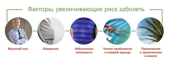 Лечение пахового грибка - симптомы, эффективные методы и средства против поражения кожи