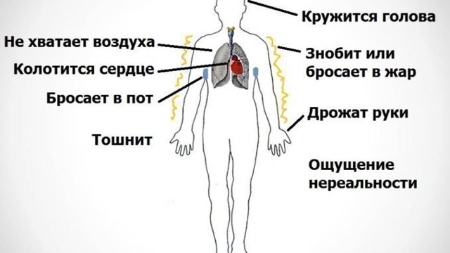 Вегетативный невроз – симптомы и лечение